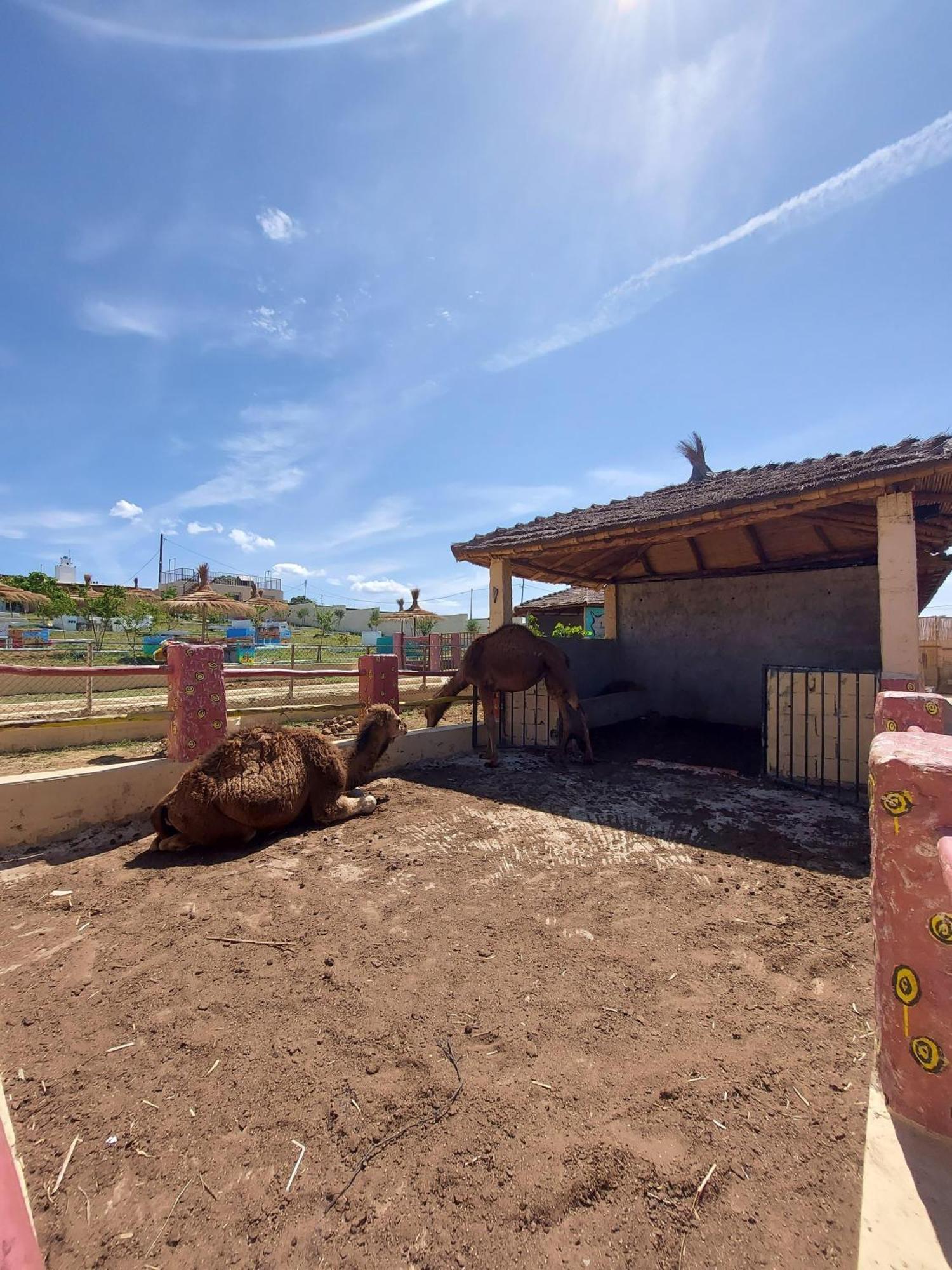 La Granja Guest House เทโทอัน ภายนอก รูปภาพ